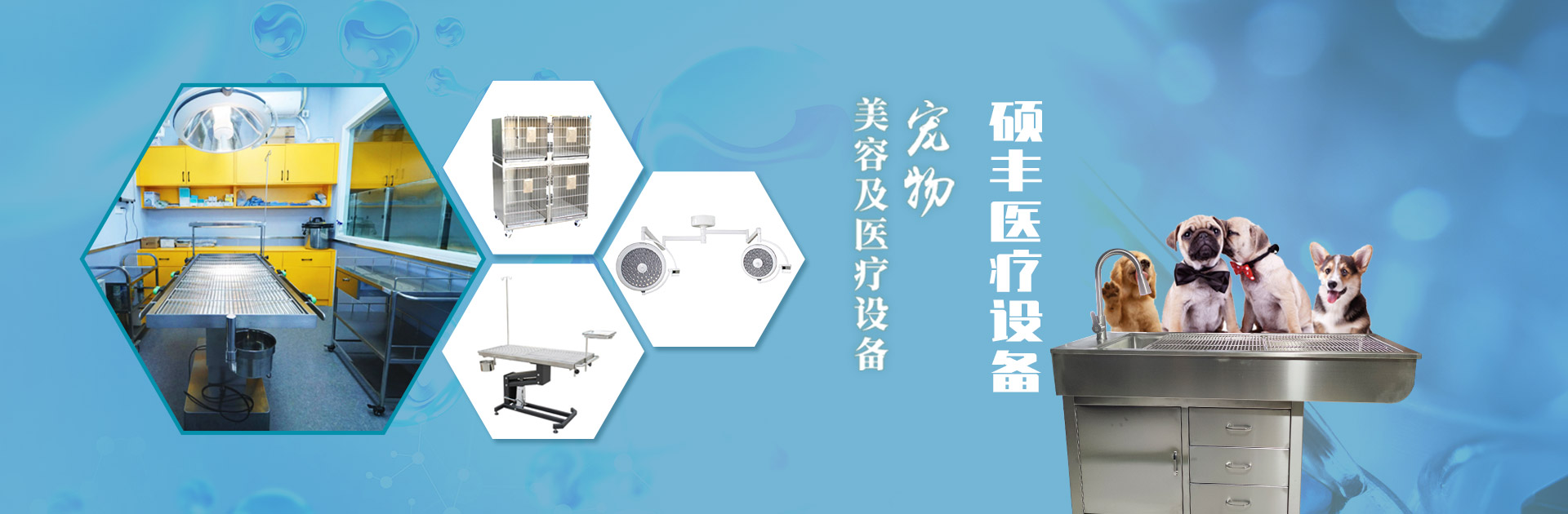 山東（dōng）碩（shuò）豐醫療設備有限公（gōng）司
