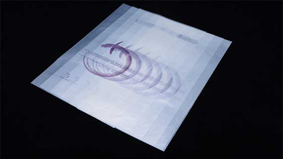 雙11來臨，生物降解袋助力綠（lǜ）色包（bāo）裝