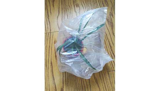 生物降解袋家中植（zhí）物保（bǎo）護神