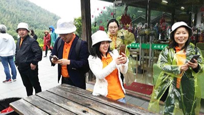 草莓视频在线观員（yuán）工一日遊——南山竹海