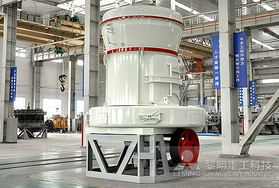 MTW係列歐版磨粉機